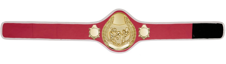THAI BOXING CHAMPIONSHIP BELT-PRO301/G/TBOG- 10 + COLOURS THAI BOXING CHAMPIONSHIP BELT-PRO301/G/TBOG- 10 + COLOURS